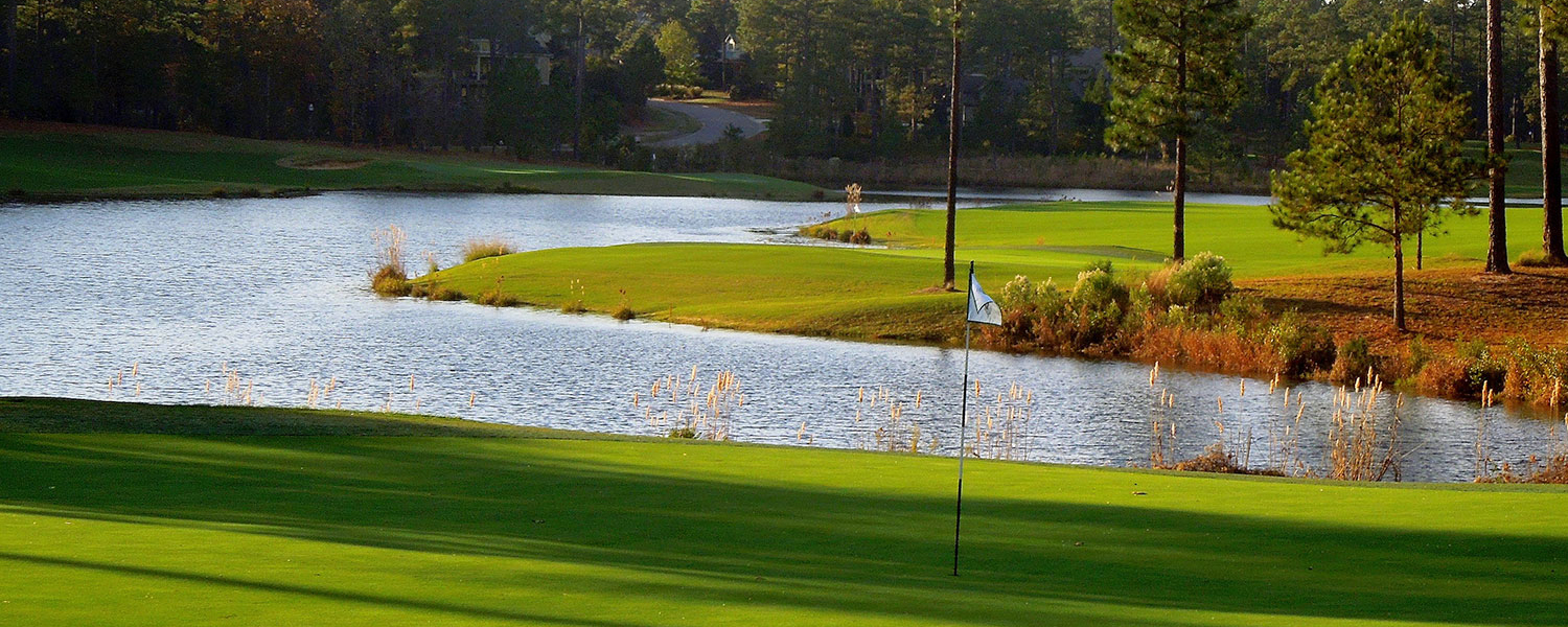 Forest Lake Golf Course Area Homes