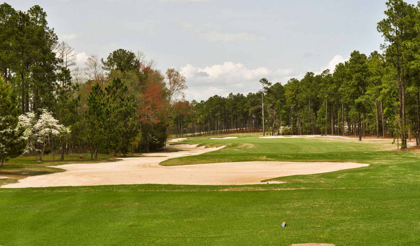 Woodcreek Great Homes for Sale, Columbia SC